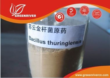 Çin lepidopterous larvaları kontrolü için beyaz toz Bacillus thuringiensis İnsektisit Tedarikçi